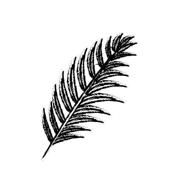 图热带枝叶植物 矢量插图设计 — 图库矢量图片