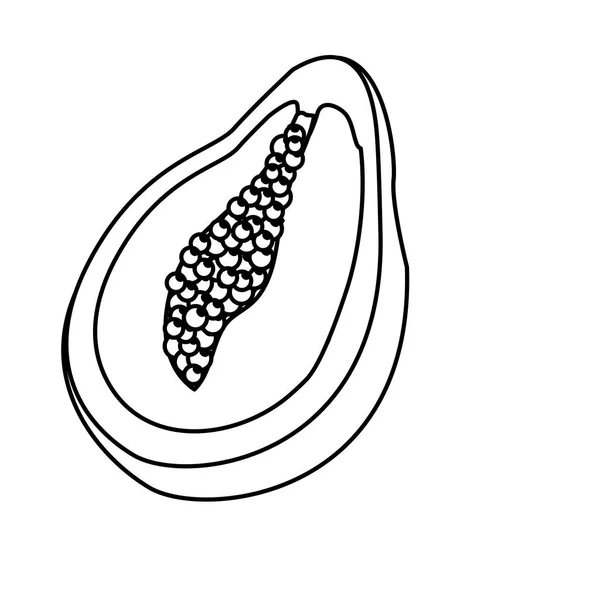 Linie Lahodná Papája Tropického Ovoce Vektorové Ilustrace Design — Stockový vektor