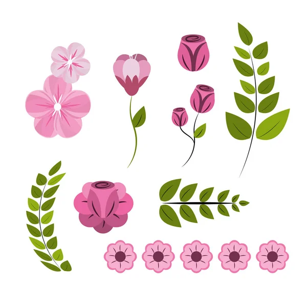 Vackra Våren Rosor Ikonbild Vektor Illustration Design — Stock vektor