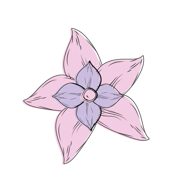 Flor Belleza Con Pétalos Ilustración Vectorial Diseño Decorativo — Archivo Imágenes Vectoriales