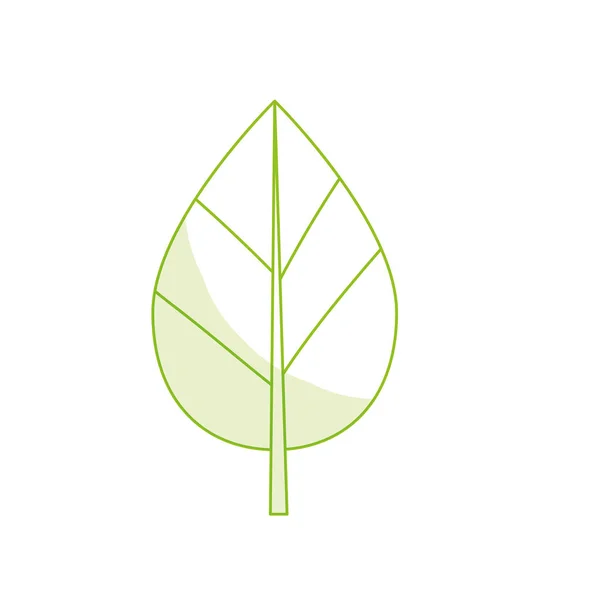 Silhueta Botânica Folha Natural Planta Tropical Vetor Ilustração — Vetor de Stock