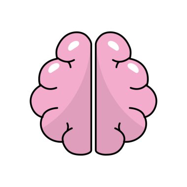 anatomy brain to imagination and memory inspiration vector illustration