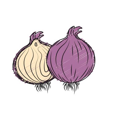taze soğan doğal bitkisel beslenme vektör çizim