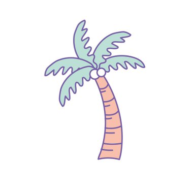 Hindistan cevizi ve yaprakları vektör çizim ile palmiye