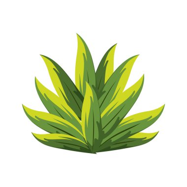 line tropical plant with leaves in the botanic forest, vector illustration