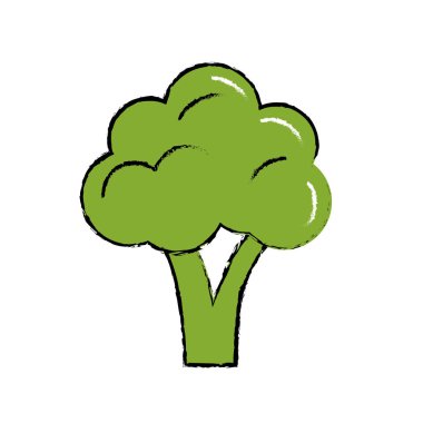 lezzetli ve sağlık brokoli sebze vektör çizim