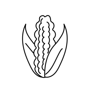 line delicious and healthy cob corn food vector illustration