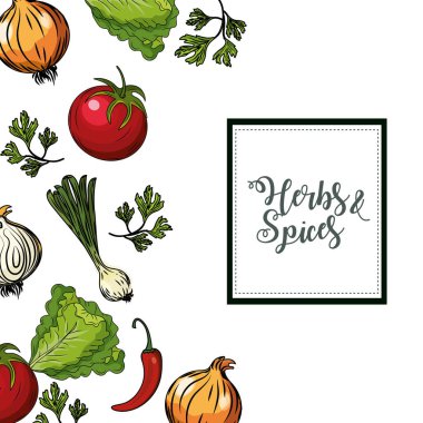 herbs and spices plants and organ food background vector illustration