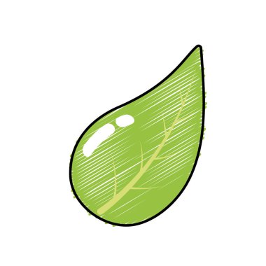 bitki ve egzotik botanik vektör çizim doğal yaprak