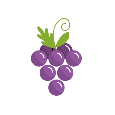 lezzetli ve sağlıklı üzüm meyve vektör çizim