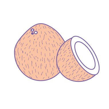 coconot meyve bir dilim vektör çizim ile