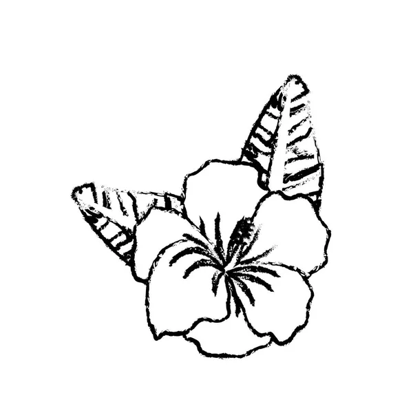 Фігура Красиві Квіткові Рослини Пелюстками Листям Векторні Ілюстрації — стоковий вектор