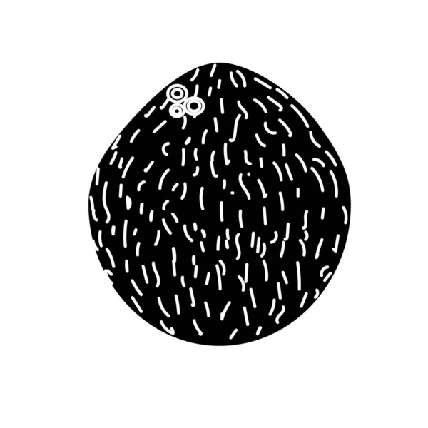 輪郭ベクトル図を食べるおいしいココナッツの果実 — ストックベクタ