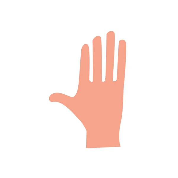 Söt Mänskliga Handen Med Alla Fingrar Vektorillustration — Stock vektor