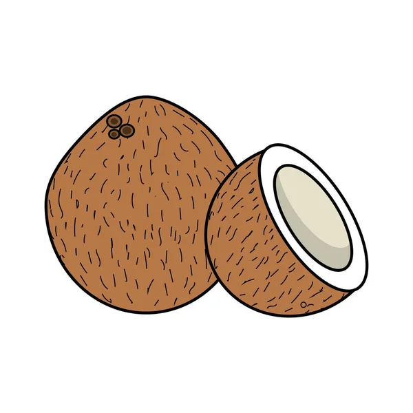 Frutto Cocco Con Una Fetta Illustrazione Vettoriale — Vettoriale Stock