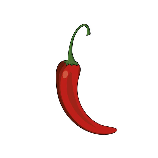 Cayenne Chili Naturalny Odżywianie Warzywo Wektor — Wektor stockowy