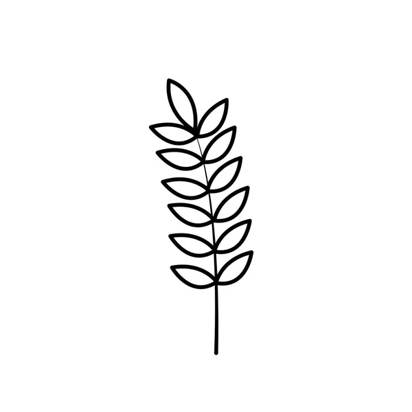 Линия Здоровой Пшеницы Орган Завод Нутрициозный Векторные Иллюстрации — стоковый вектор