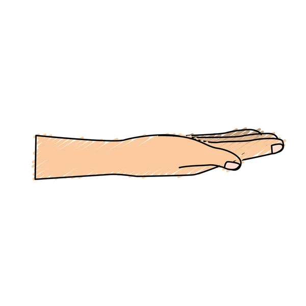 Schöne Hand Mit Allen Fingern Und Nägeln Vektorillustration — Stockvektor