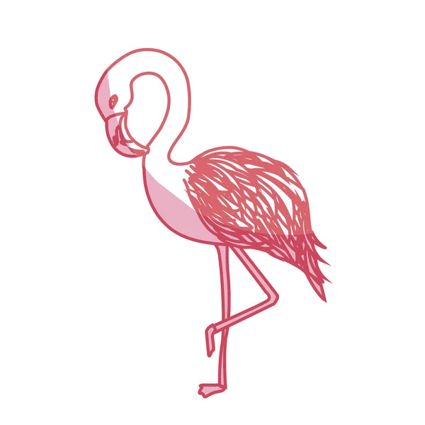 Silhouette Beauty Exotic Flamingo Bird Animal Vector Illustration — Stockový vektor