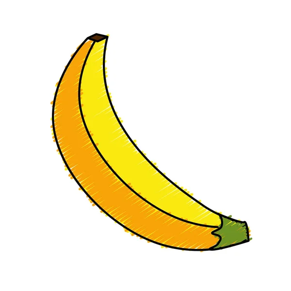 Deliziosi Frutti Tropicali Banana Disegno Illustrazione Vettoriale — Vettoriale Stock