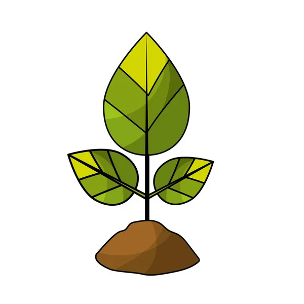 Натуральное Растение Листьями Почвой Векторной Иллюстрации Уходу Окружающей Средой — стоковый вектор