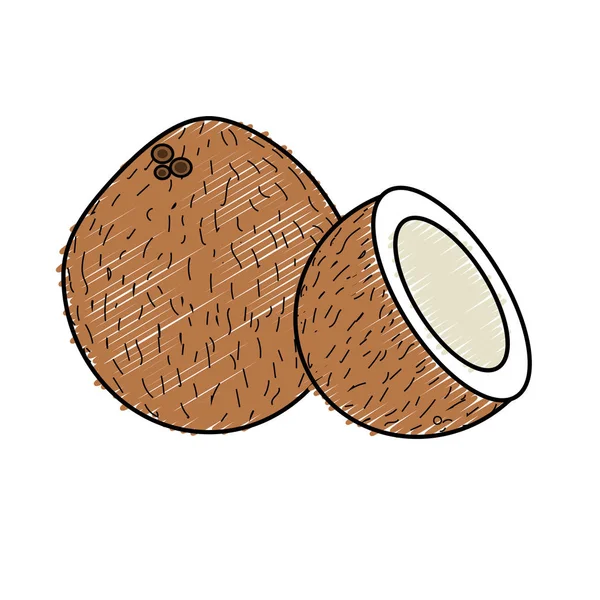 椰子果与一个切片矢量例证 — 图库矢量图片