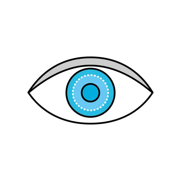 Anatomia Człowieka Oko Optyczne Wektor Graficzny Ilustracja — Wektor stockowy