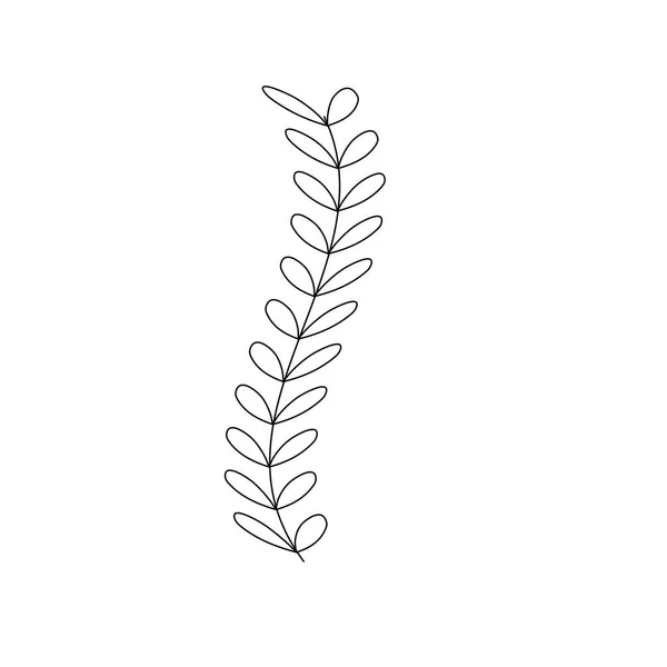 Line Rustic Branch Leaves Design Vector Illustration — Stock Vector