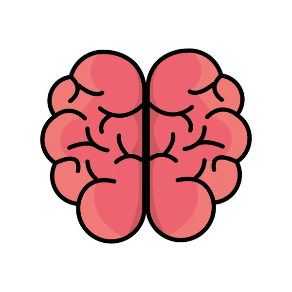 Salud Mental Inteligente Icono Del Cerebro Diseño Ilustración Vectorial — Vector de stock