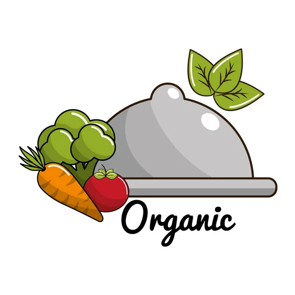 Vegan Food Icon Stock Vector Illustration Design Image — Stock Vector