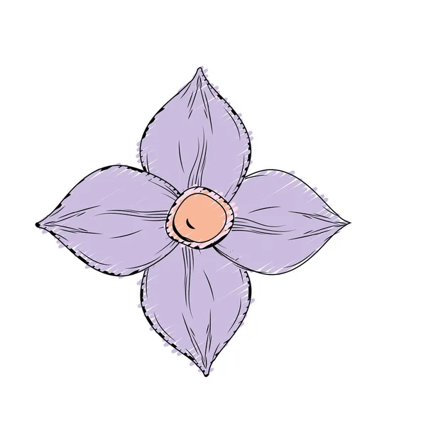 Ομορφιά Λουλούδια Πέταλα Για Διακοσμητικό Σχεδιασμό Εικονογράφηση Διάνυσμα — Διανυσματικό Αρχείο