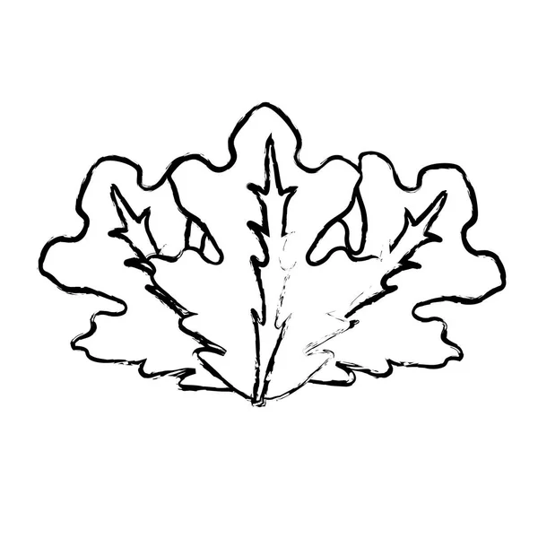 Άκρη Νόστιμα Φύλλα Μαρούλι Όργανο Τροφίμων Εικονογράφηση Διάνυσμα — Διανυσματικό Αρχείο
