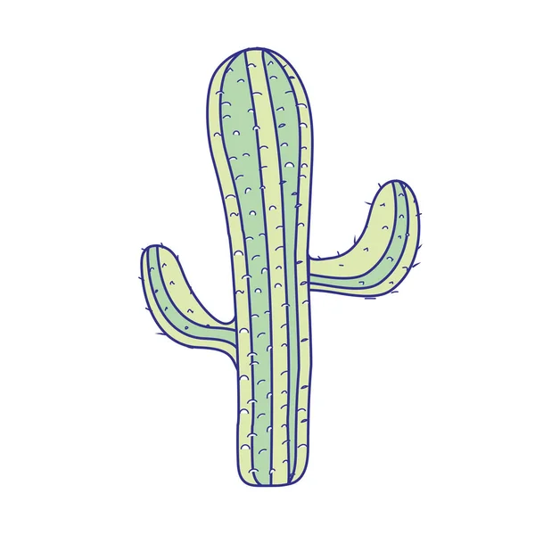 Piękny Kaktus Roślina Pustynny Wektor Ilustracja — Wektor stockowy