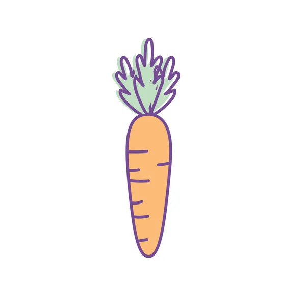 Смачний Здоровий Морквяний Овоч Векторні Ілюстрації — стоковий вектор
