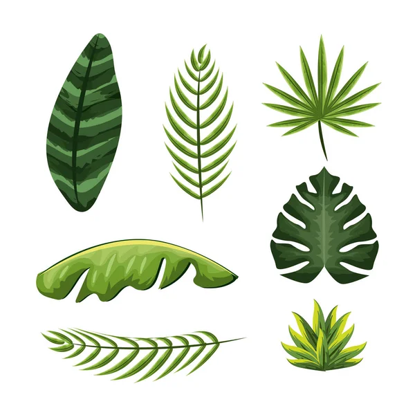 植物の背景 ベクトル図の素敵なエキゾチックな葉 — ストックベクタ