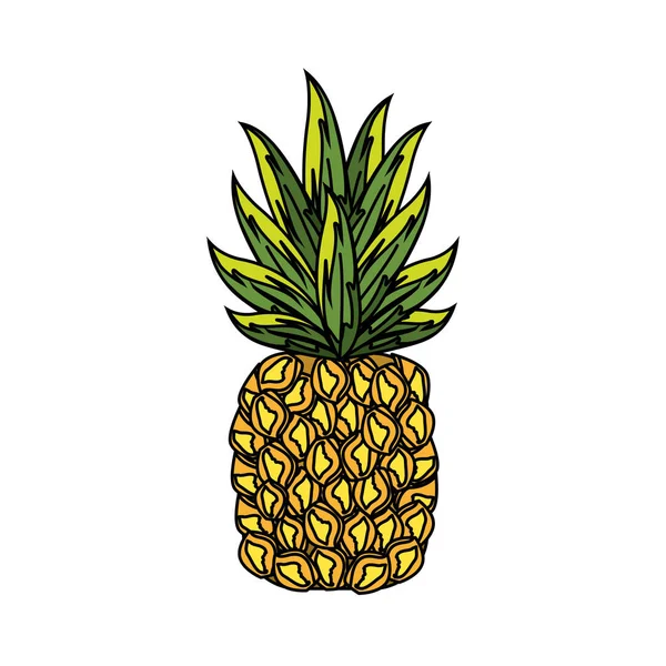 Ananas Tropiowe Owoce Projekt Rysunek Wektor — Wektor stockowy