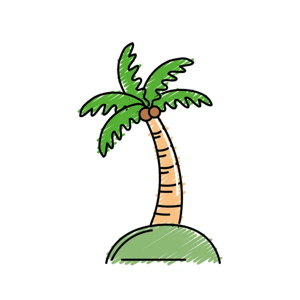Palma Com Cocos Folhas Ilustração Vetorial — Vetor de Stock