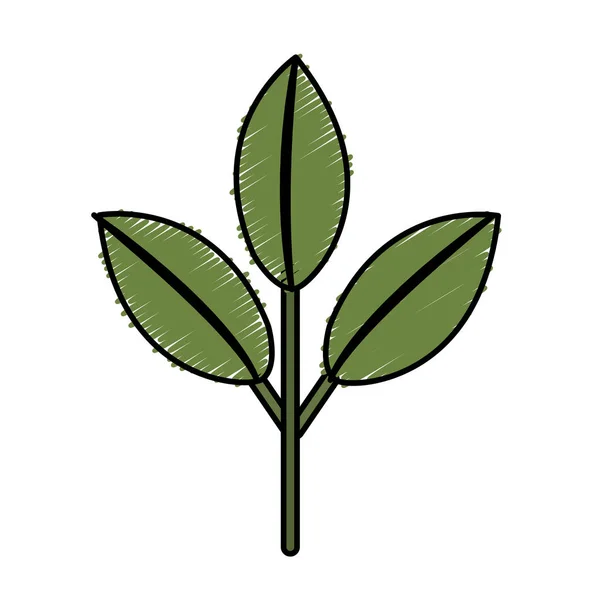 Agradable Planta Ecología Con Hojas Diseño Ilustración Vectorial — Vector de stock