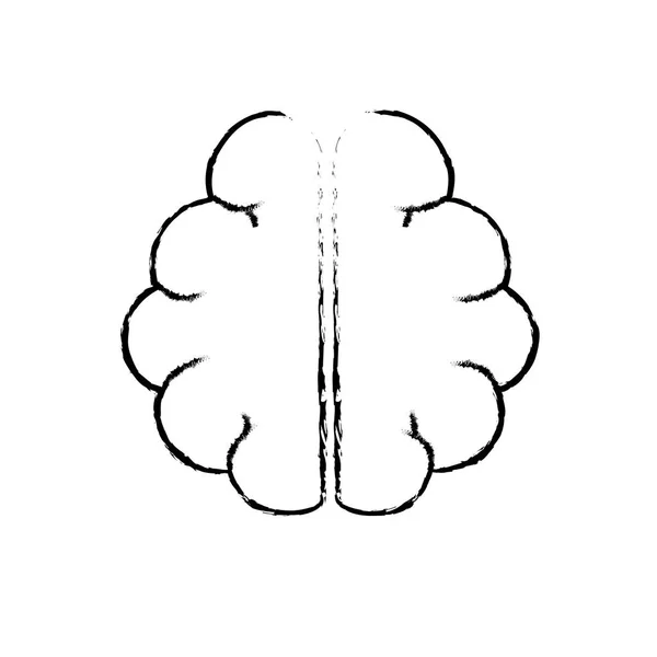 Figura Anatomía Cerebro Imaginación Memoria Inspiración Vector Ilustración — Vector de stock