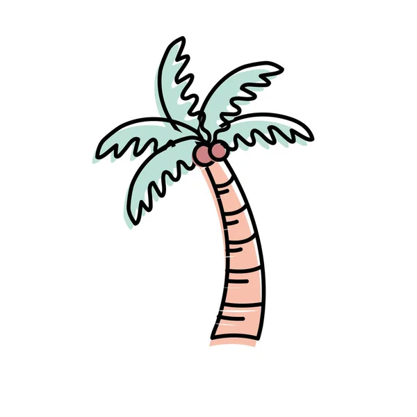 Palmier Aux Noix Coco Feuilles Illustration Vectorielle — Image vectorielle