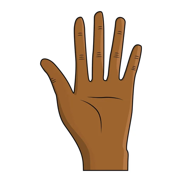 Красивая Рука Всеми Пальцами Ладонями Векторная Иллюстрация — стоковый вектор