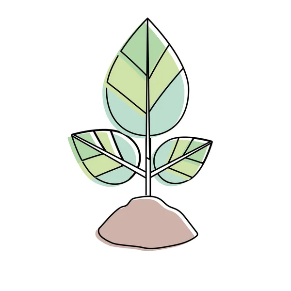 Plante Naturelle Avec Des Feuilles Sol Écologie Soins Vectoriels Illustration — Image vectorielle
