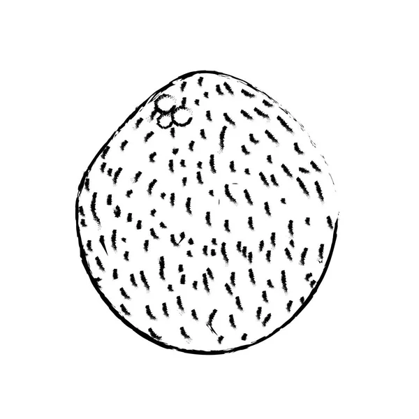 Σχήμα Νόστιμα Καρύδας Φρούτα Για Φάνε Εικονογράφηση Διάνυσμα — Διανυσματικό Αρχείο