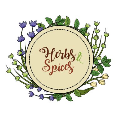 amblem otlar ve baharatlar bitki ve organ gıda vektör çizim