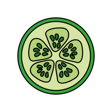 taze dilim salatalık organ sebze, vektör çizim