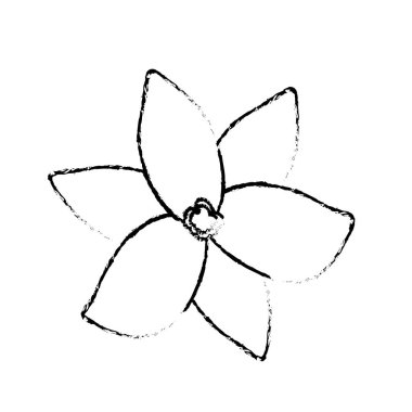 güzel şekil ve tropikal çiçek bitki yaprakları, vektör çizim ile