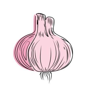 taze sarımsak doğal sebze beslenme vektör illüstrasyon