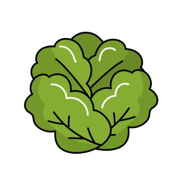 lezzetli ve sağlık marul sebze vektör çizim