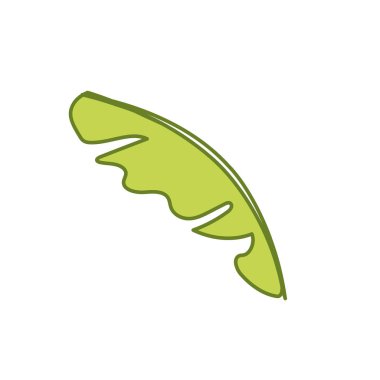 beautiful leaf of the exotic plants in the forest, vector illustration