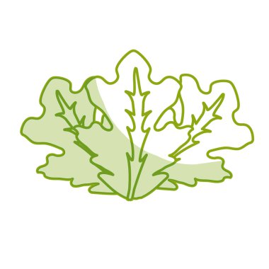 siluet lezzetli yaprak marul organ yiyecek, vektör çizim